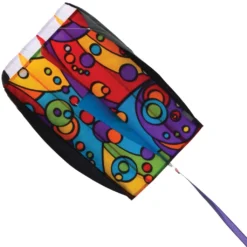 Kites Parafoil 5 Kite - Rainbow Orbit