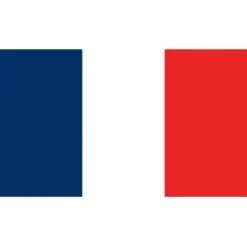 Collections Kites Flag Kite - France