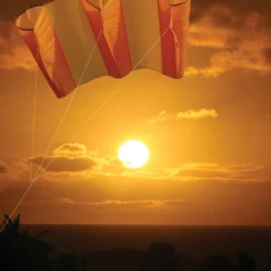 Collections Kites Jumbo Power Sled 36 Kite - Mango