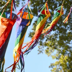 WindGarden WindGarden 24 In. Spinsock - Rainbow