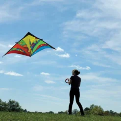 Kites 9 Ft. Delta Kite - Rainbow Orbit Premier Kites