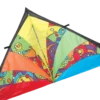 Kites 9 Ft. Delta Kite - Rainbow Orbit Premier Kites