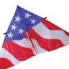 Kites 9 Ft. Delta Kite - Patriotic