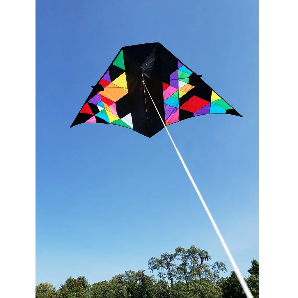 Premier Kites 16 Ft. Tunnel Delta - Geometric NEW Collections Kites