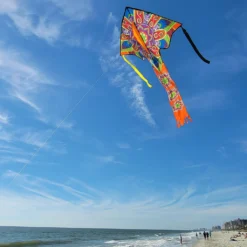 Kites Premier Kites Large Easy Flyer Kite - Mandala