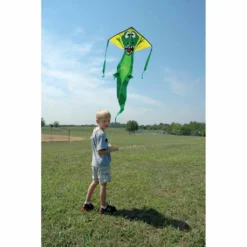 Kites Premier Kites Regular Easy Flyer Kite - Alligator