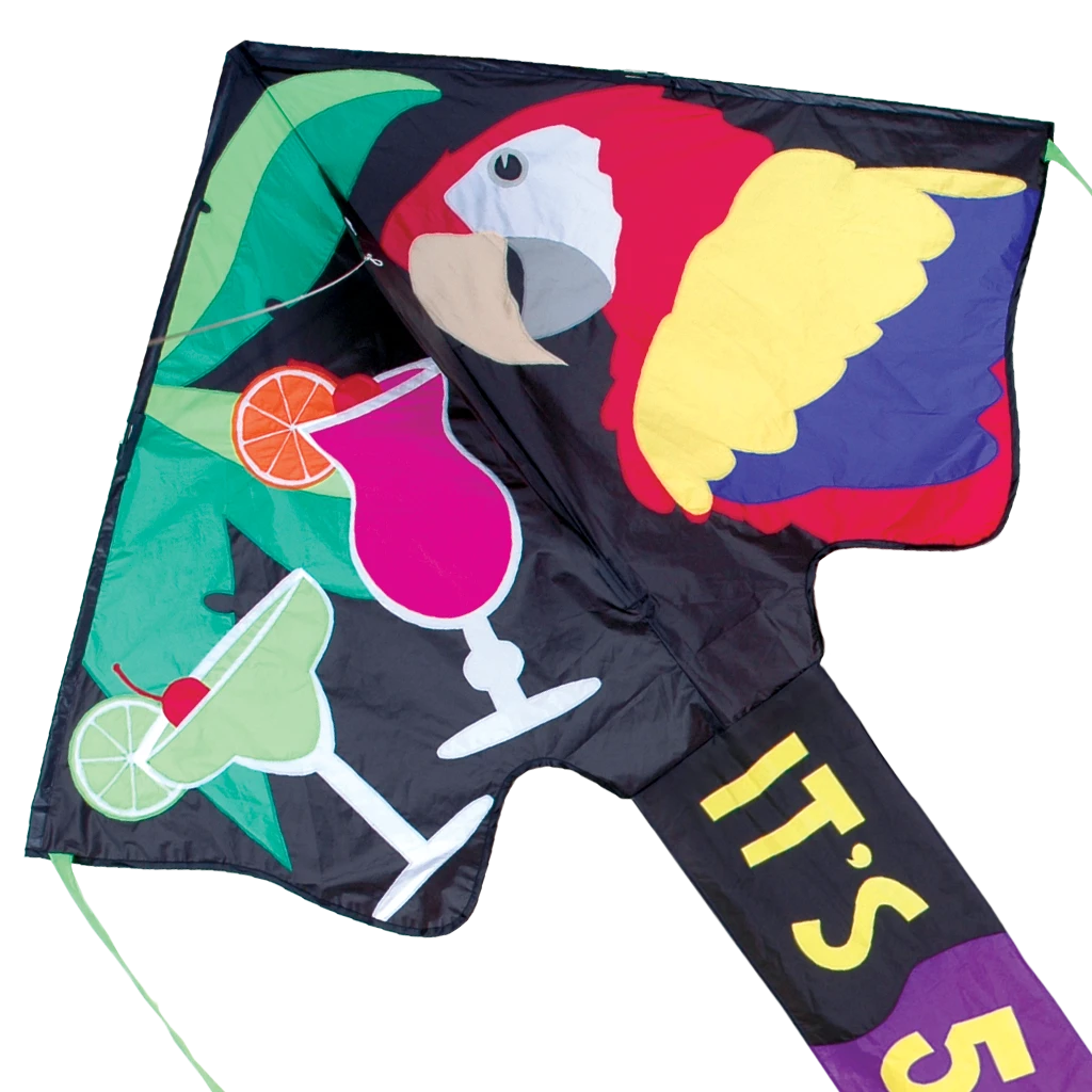 Kites Premier Kites Jumbo Easy Flyer Kite - 5 O' Clock