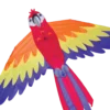 Kites Macaw Kite