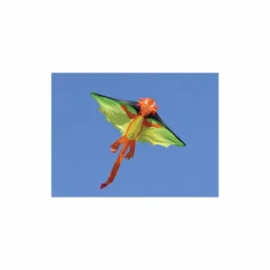 Kites Flying Dragon Kite