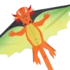 Kites Flying Dragon Kite
