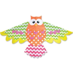 Kites Premier Kites Rainbow Owl Kite