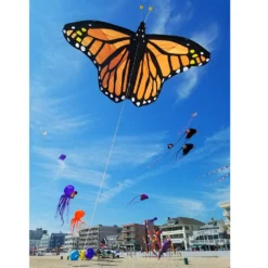 Collections Kites Collections Giant Monarch Butterfly Kite