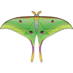 Collections Kites Collections Luna Moth Kite