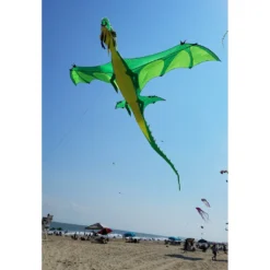 Collections Kites Giant Dragon Kite - Green