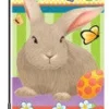 Accent Home & Garden 12 In. Flag - Hip Hop Bunny Accent