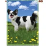 Accent Home & Garden 28 In. Flag - Panda The Chihuahua Accent