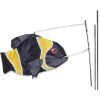 Premier Kites Swimming Fish Recumbent Bike Flag - Damsel Fish