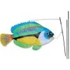 Premier Kites Swimming Fish Recumbent Bike Flag - Peacock Wrasse Recumbent Bike Flags