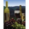 Accent Home & Garden - Sale Deluxe Gift Bag - Welcome Winery Accent
