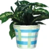 Accent Home & Garden - Sale Accent Flower Pot Cover - Cool Plaids