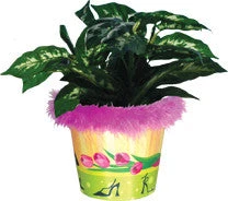 Accent Home & Garden - Sale Flower Pot Cover - Shopping Spree