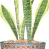 Accent Home & Garden - Sale Accent Flower Pot Cover - Waikiki Beach