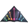 Kites 9 Ft. Delta Kite - Rainbow Arrows Premier Kites